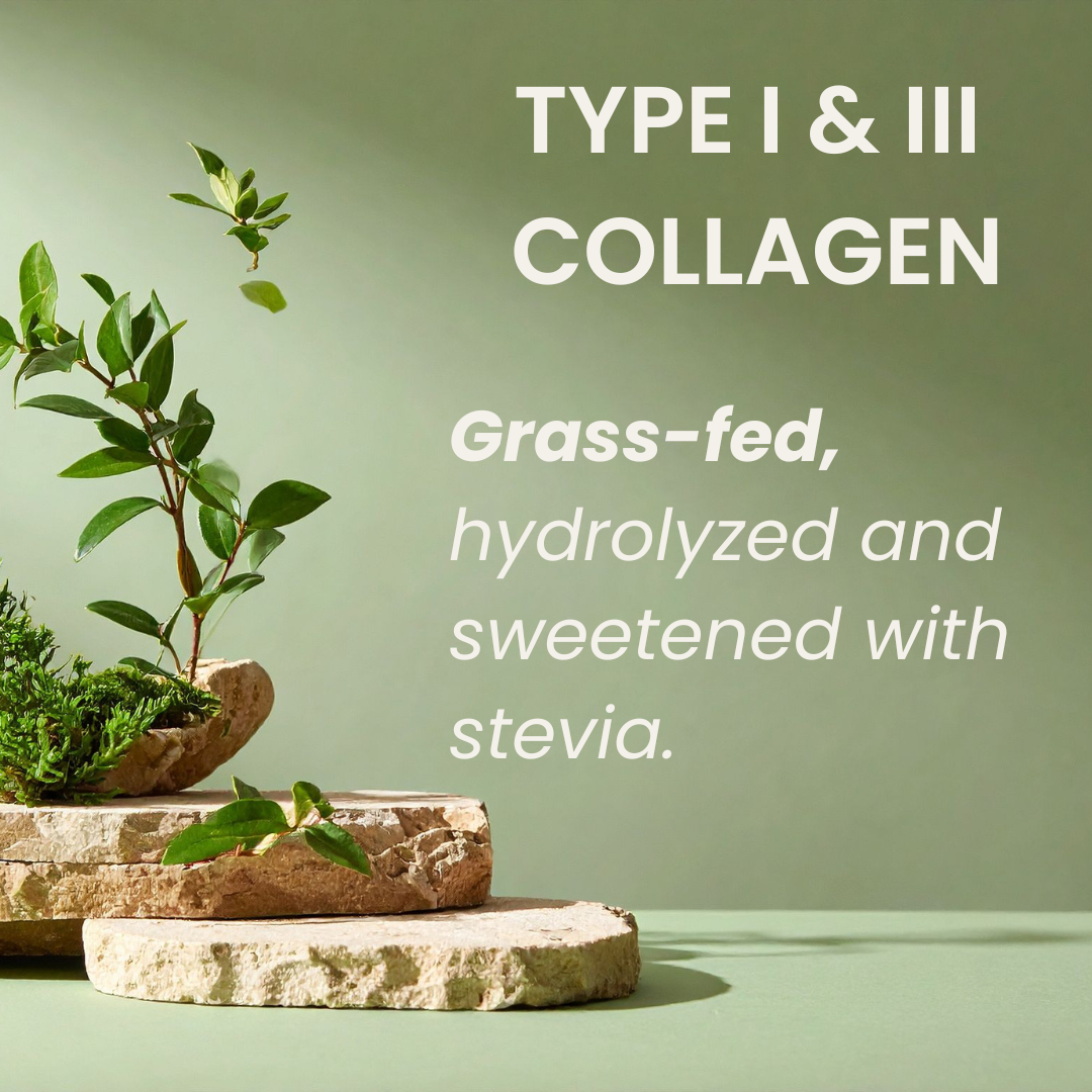 Grass-Fed Collagen Peptides Powder (Chocolate)